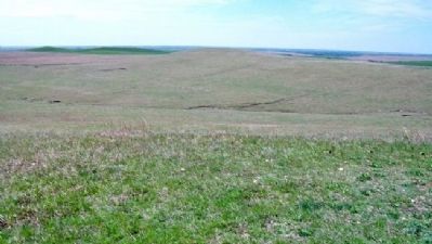 Early Spring in Tallgrass Prairie NP image. Click for full size.