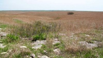 Tallgrass Prairie NP in the Flint Hills image. Click for full size.