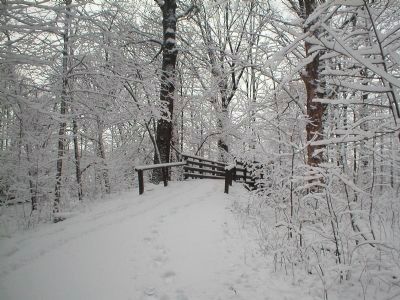 Winter scene of Pearson Park exercise trail. image. Click for full size.