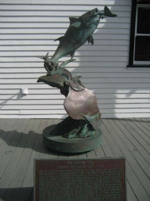 The Leaping Tuna. Click for full size. The Leaping Tuna image. Click for full size.
