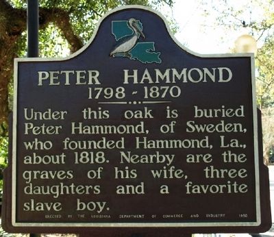 Peter Hammond Marker image. Click for full size.