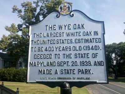 The Wye Oak Marker image. Click for full size.