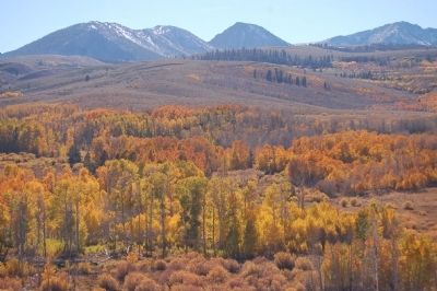 Fall Colors near Conway Summit image. Click for full size.