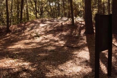 Fort Howell southeastern Bastion area, seen today. Click for full size. Fort Howell southeastern Bastion area, seen today image. Click for full size.