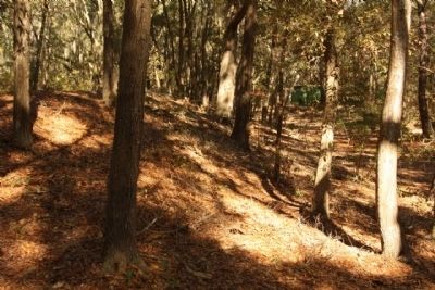 Fort Howell westside palisades area, seen today. Click for full size. Fort Howell westside palisades area, seen today image. Click for full size.