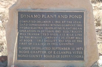 Dynamo Plant and Pond Marker image. Click for full size.