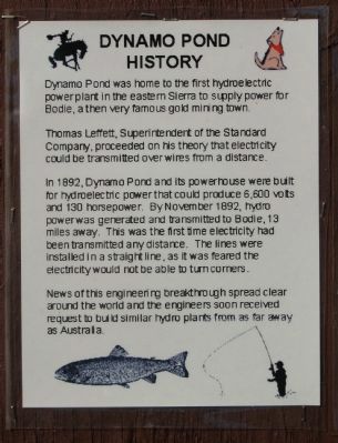 Dynamo Pond History image. Click for full size.