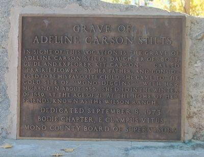 Grave of Adeline Carson Stilts Marker image. Click for full size.