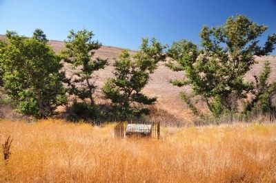 Hanging Tree Marker. Click for full size. Hanging Tree Marker image. Click for full size.