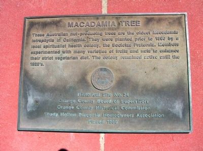 Macadamia Tree Marker image. Click for full size.