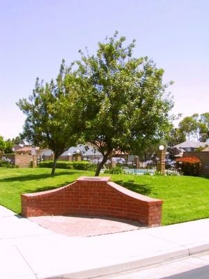 Macadamia Tree and Marker image. Click for full size.