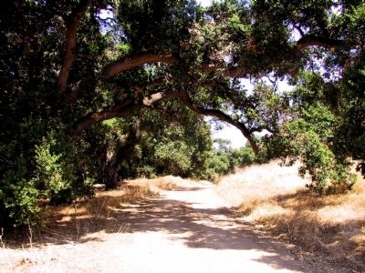 Mwd Access Road image. Click for full size.