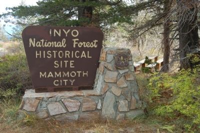 Sign Across the Road from the Mammoth City Marker image. Click for full size.
