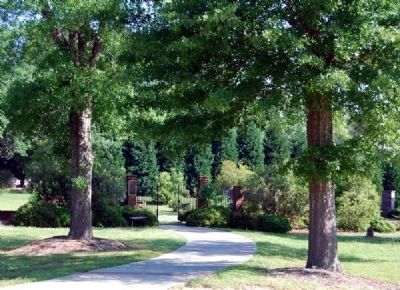 Walking Path to Labyrinth image. Click for full size.