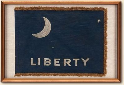 The Moultrie Flag image. Click for full size.