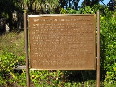 The History of Princess Hirrihigua Marker image. Click for full size.
