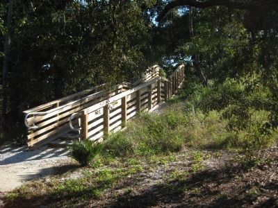 Steps up the Tocobaga Temple Mound image. Click for full size.