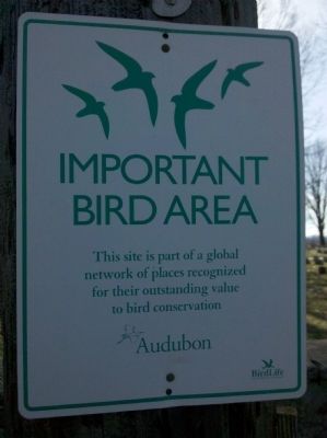 Important Bird Area image. Click for full size.