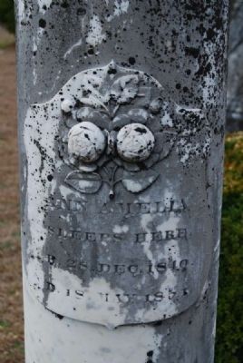 Ann Amelia Tombstone image. Click for full size.