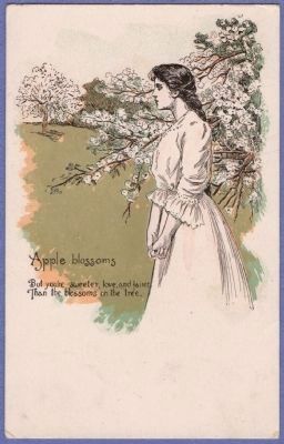 Evangeline - Apple Blossoms Postcard image. Click for full size.