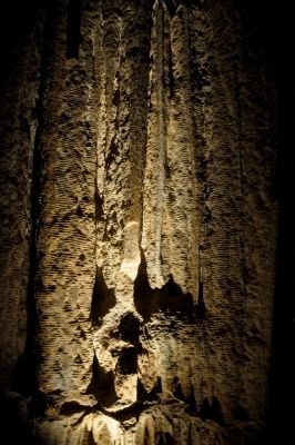 Mitchell Caverns image. Click for full size.