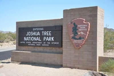 Joshua Tree National Park image. Click for full size.