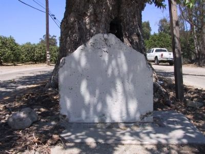 Sycamore Tree Marker is missing. Click for full size. Sycamore Tree Marker is missing image. Click for full size.