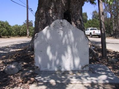 Sycamore Tree Marker is missing image. Click for full size.