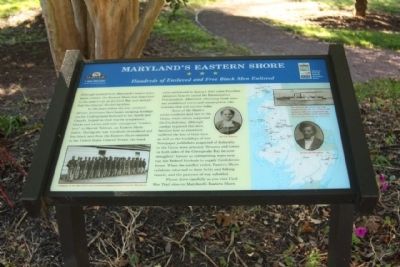 Maryland's Eastern Shore Marker image. Click for full size.