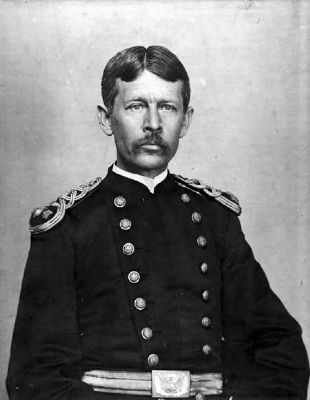 Walter Reed image. Click for full size.