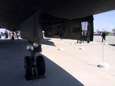 Lockheed A-12: Nose gear image. Click for full size.