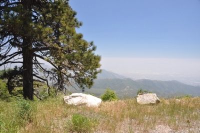Forest Rim. Click for full size. Forest Rim image. Click for full size.