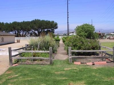 Olivas Herb Garden. Click for full size. Olivas Herb Garden image. Click for full size.