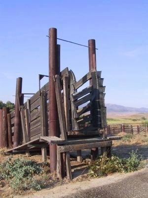 Cattle Chute. Click for full size. Cattle Chute image. Click for full size.