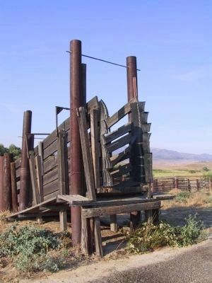 Cattle Chute image. Click for full size.