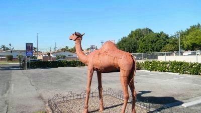 The Drum Barracks Camel, commemorating the U.S. Army's experimental "camel corps" image. Click for full size.