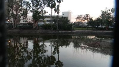 La Brea Tar Pit near the Observation Pit image. Click for full size.