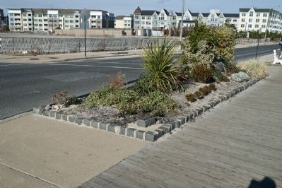 Steinbach's Cobblestone image. Click for full size.