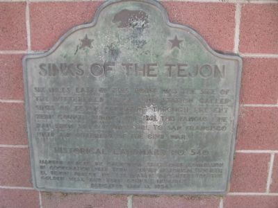 Sinks Of The Tejon image. Click for full size.