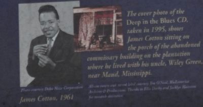 James Cotton 1961. Click for full size. James Cotton 1961 image. Click for full size.