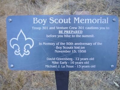 Boy Scout Memorial Marker image. Click for full size.