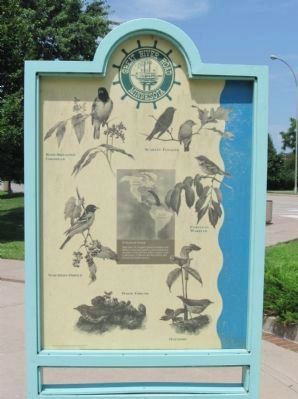 In Search of Summer Marker. Click for full size. In Search of Summer Marker image. Click for full size.