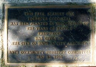 Fred Pecci Marker Near Bath Civil War Memorial. Click for full size. Fred Pecci Marker Near Bath Civil War Memorial image. Click for full size.