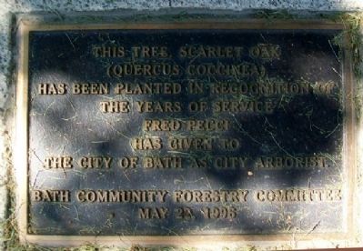 Fred Pecci Marker Near Bath Civil War Memorial image. Click for full size.