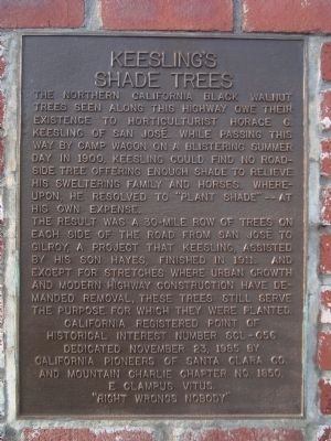 Keesling’s Shade Trees Marker. Click for full size. Keesling’s Shade Trees Marker image. Click for full size.