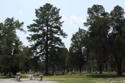 Graniteville Cemetery. Click for full size. Graniteville Cemetery image. Click for full size.
