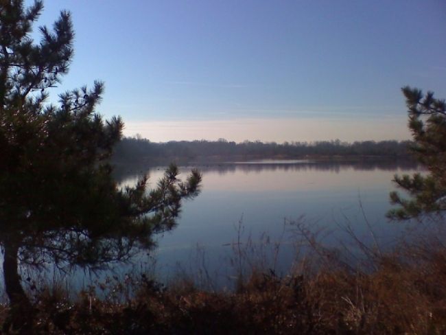 Lake Artemisia image. Click for full size.