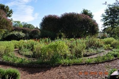 The Hermitage Garden. Click for full size. The Hermitage Garden image. Click for full size.
