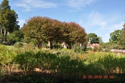 The Hermitage Garden Marker/Crepe Myrtles image. Click for full size.