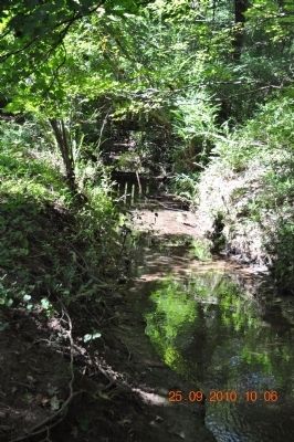 Field Quarter Trail. Click for full size. Field Quarter Trail image. Click for full size.
